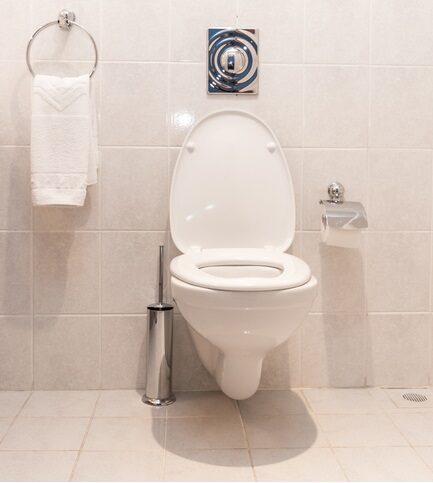 Toilet in a bathroom.