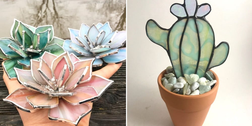 donkey's tail succulents Sedum Donkey's Tail Succulent