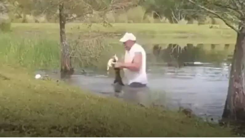 man rescues dog