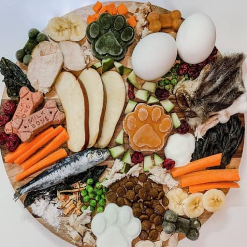 barkuterie