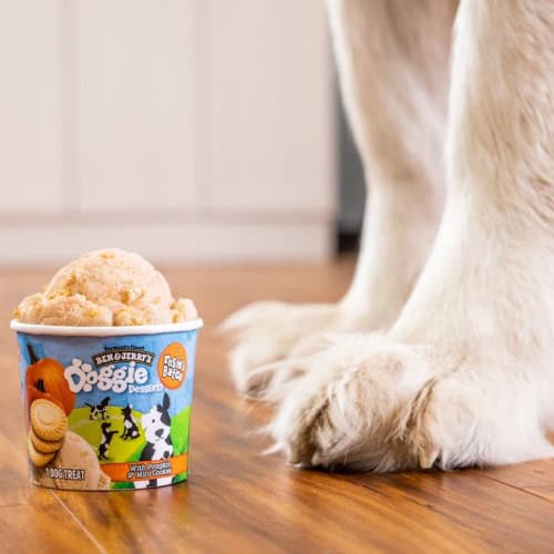ben & jerry's dog ice cream