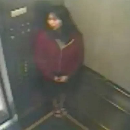 New Netflix Documentary Will Investigate Disappearance And Death Of Elisa Lam