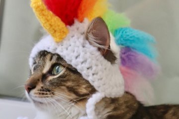 This Crochet Unicorn Hat For Cats Will Bring A Bit Of Magic To Your Pet’s Life