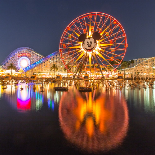 Mickey Mouse and the Disney lights at night.