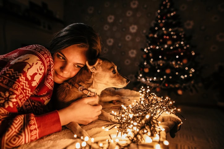 new year's eve homebody