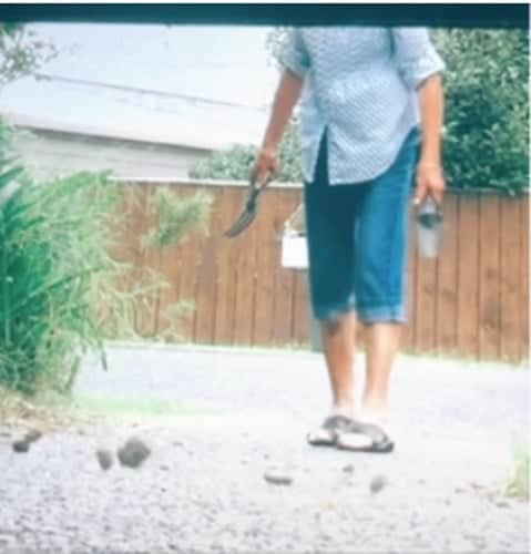 Woman Puts Poo Through Neighbor’s Letterbox To Get Revenge