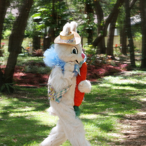 The Easter Bunny.