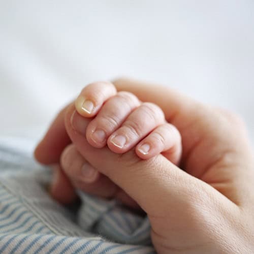transgender parent