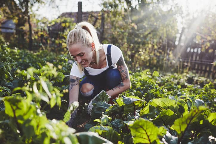 Woman tending her garden on a sunny day.