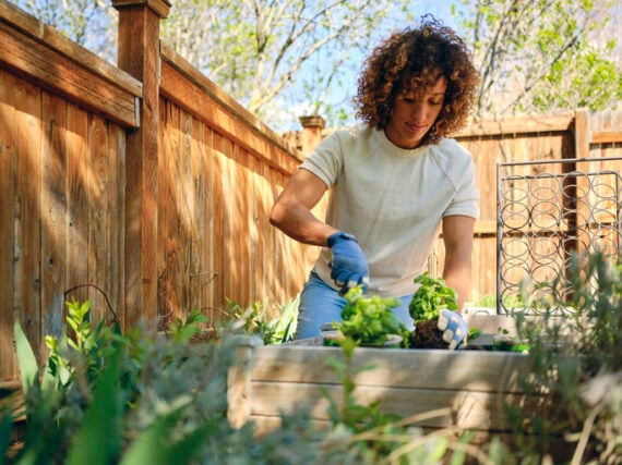 Woman in a Backyard Garden