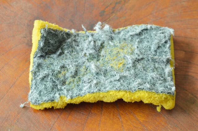 An old dirty sponge.