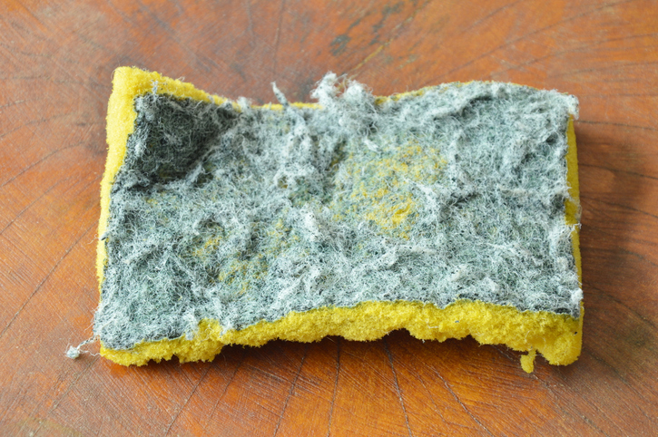 An old dirty sponge.