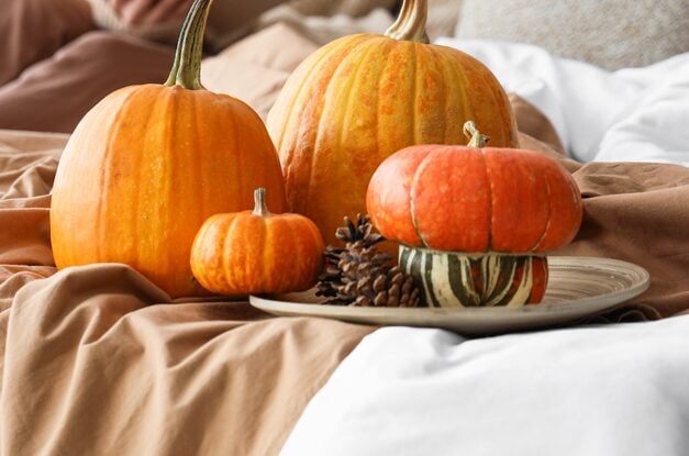 Different sized pumpkins.