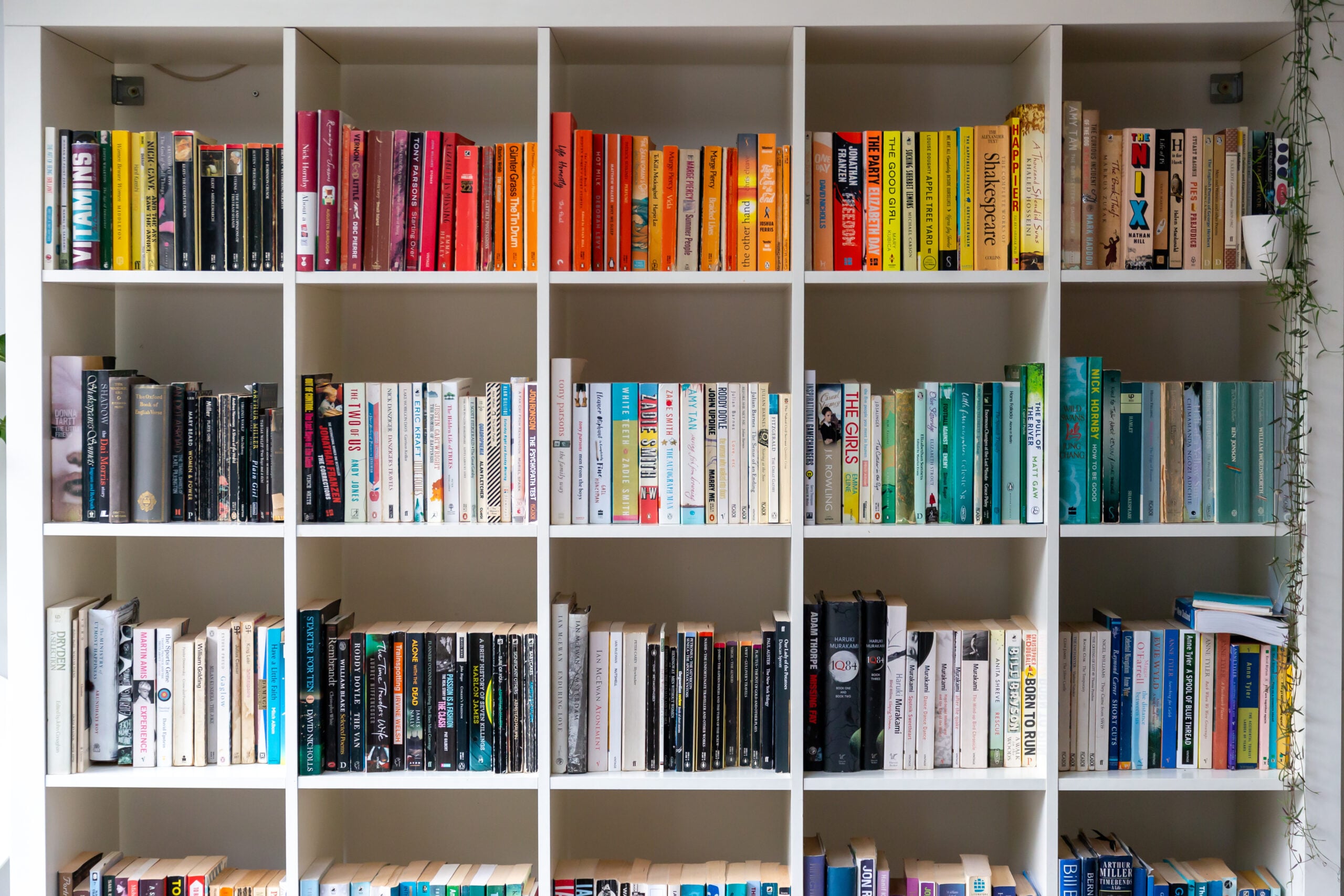 Beautiful colorful books on a bookshelf.