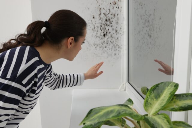 Woman looking at mold spreading in her home.