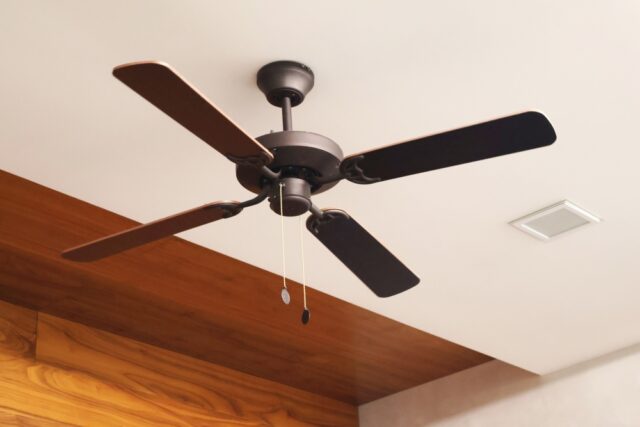 Wooden ceiling fan.
