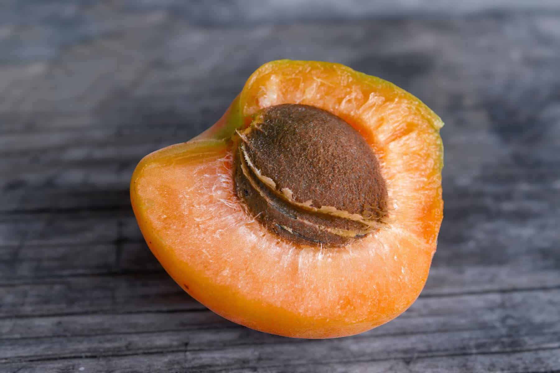 Half of an apricot with the pit.