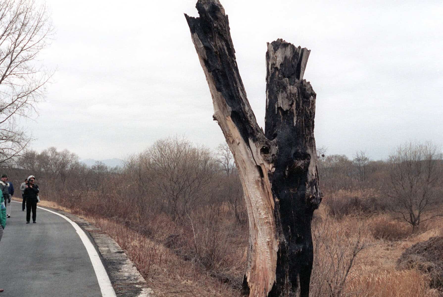 In 1976, two Amercian officers were killed by North Koreans along the De-Militarized Zone (DMZ).