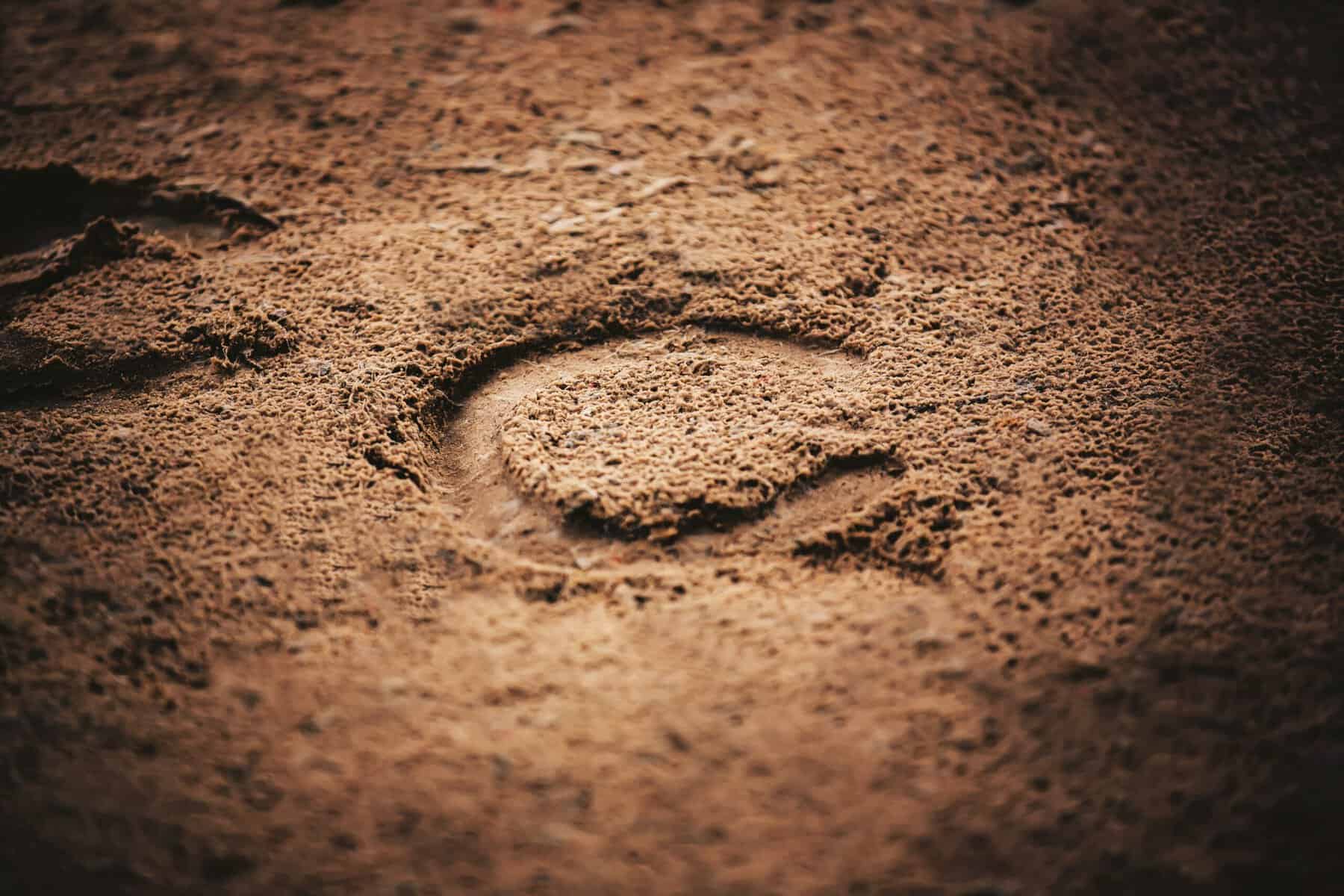 A horseshoe print in the dirt.
