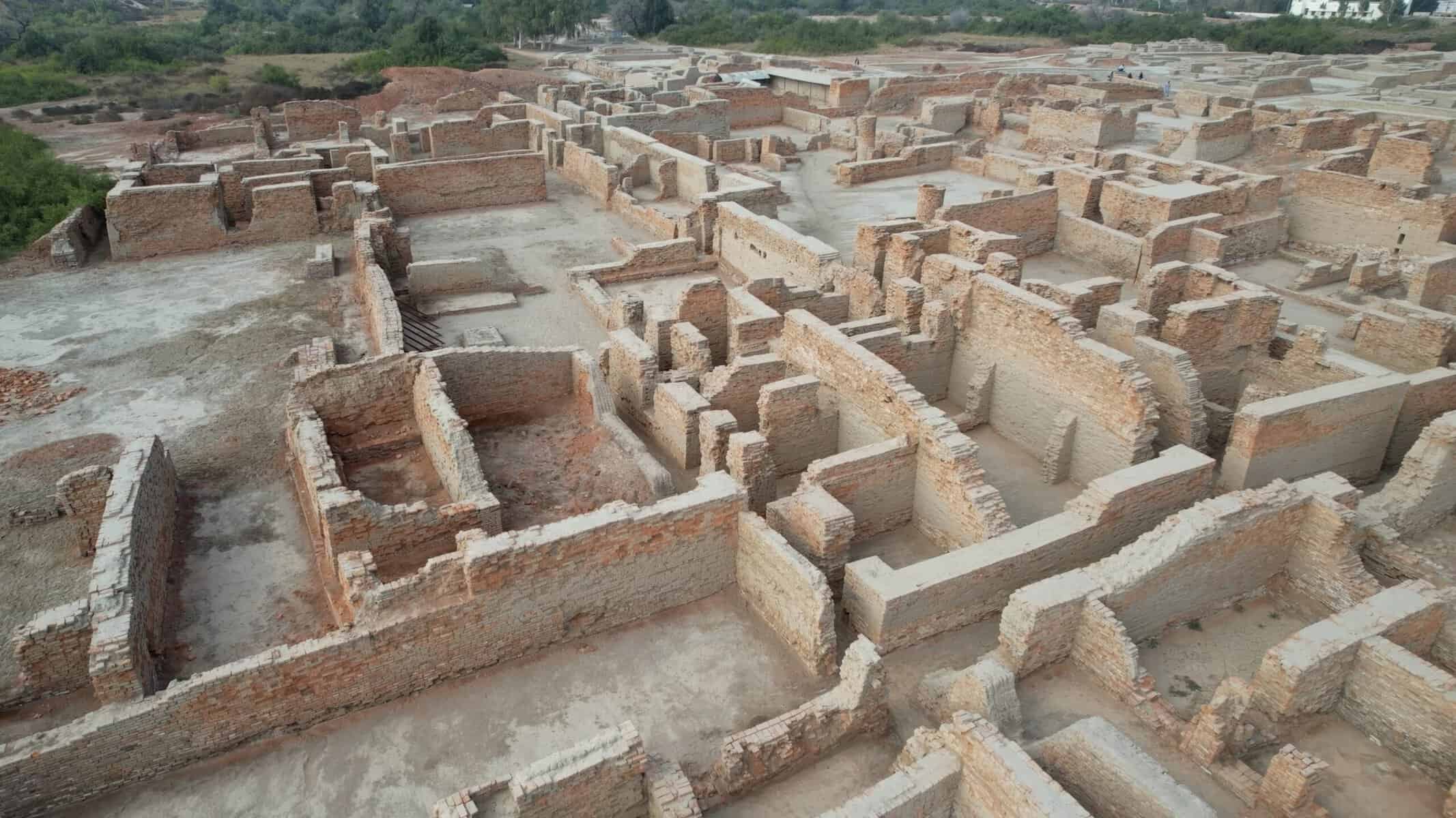 An ancient labyrinthine.