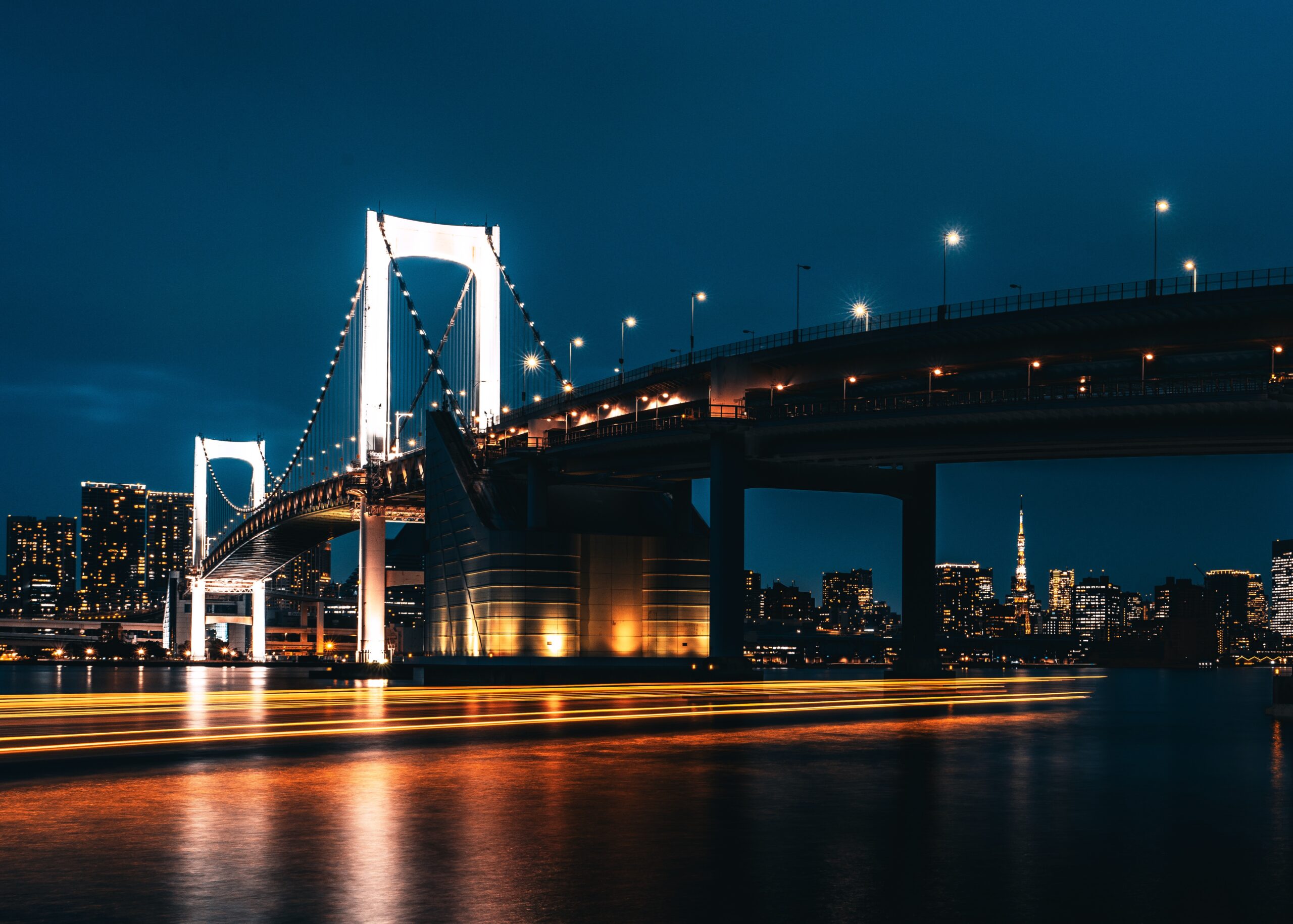 An image of Tokyo at night.