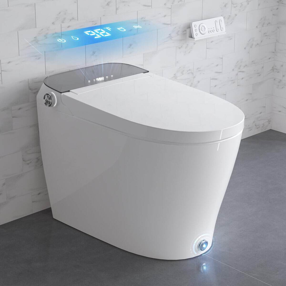 A Japanese style bidet toilet.