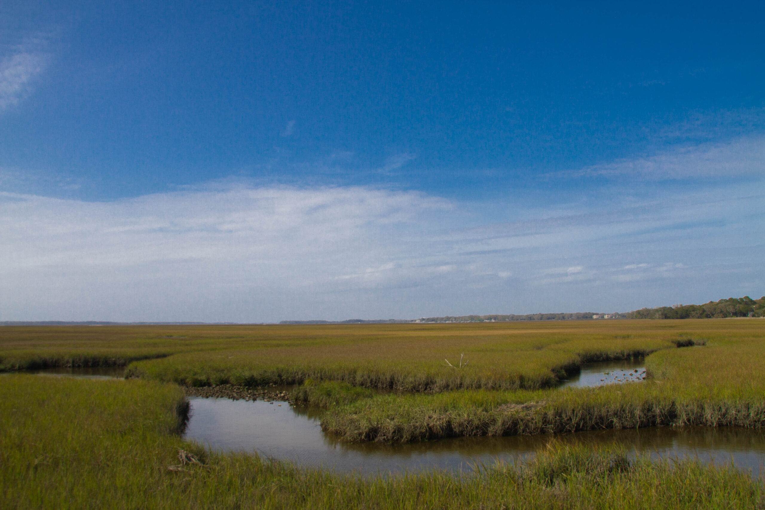 Amelia Island, FL