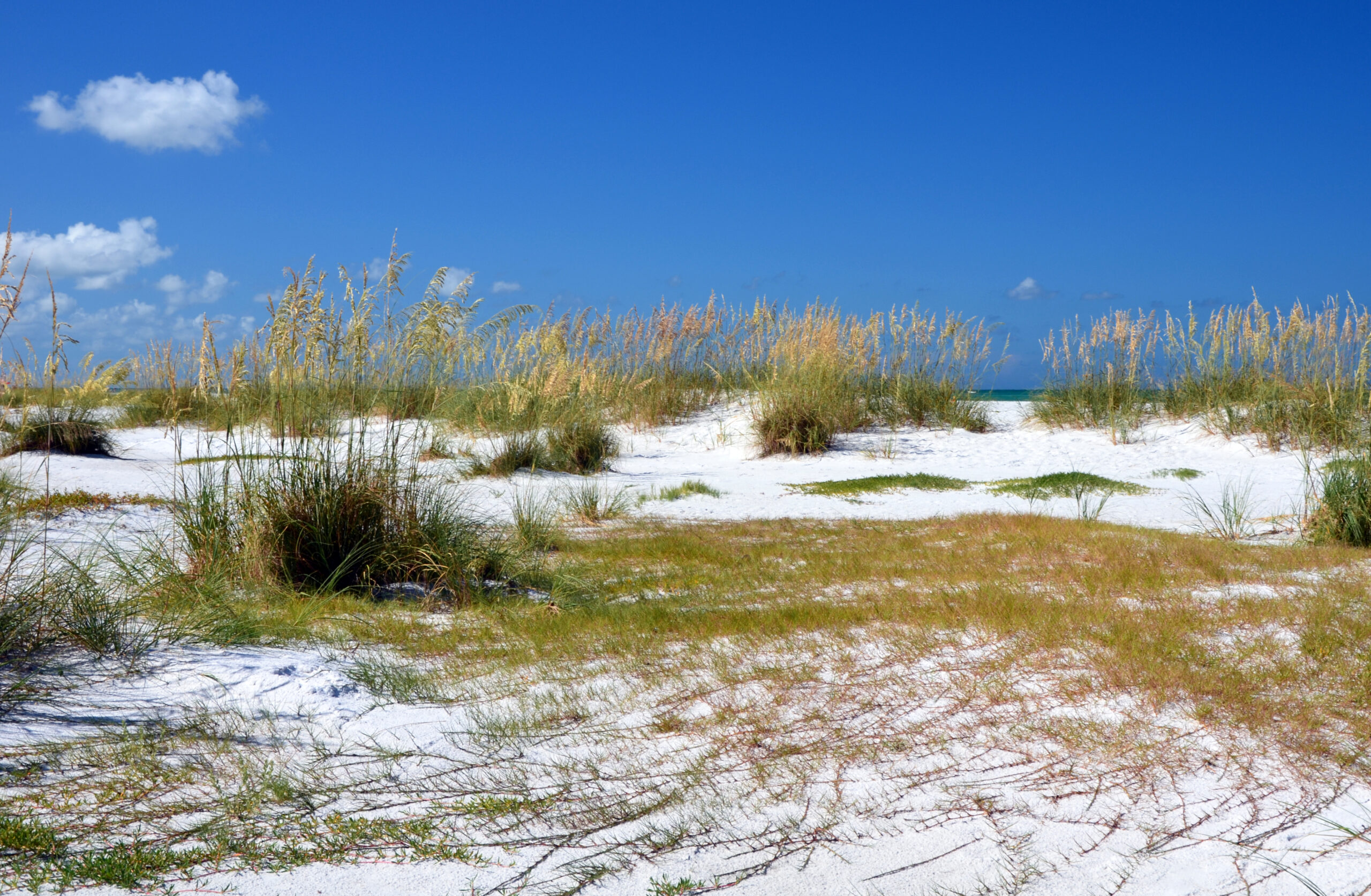 Anna Maria Island, FL. 