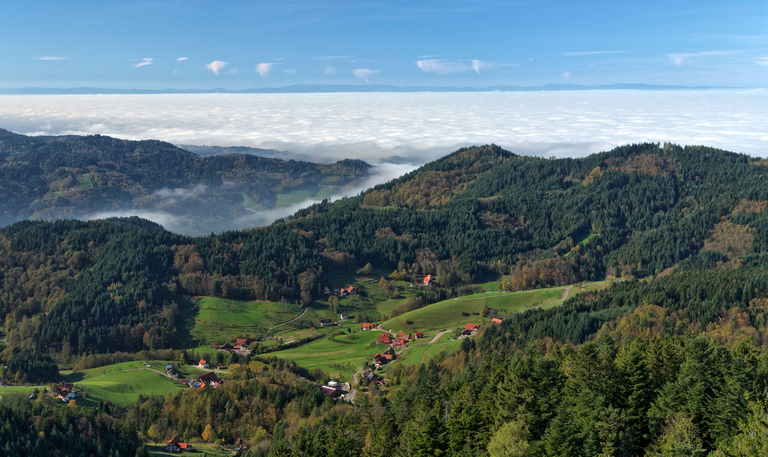 The Black Forest, Germany