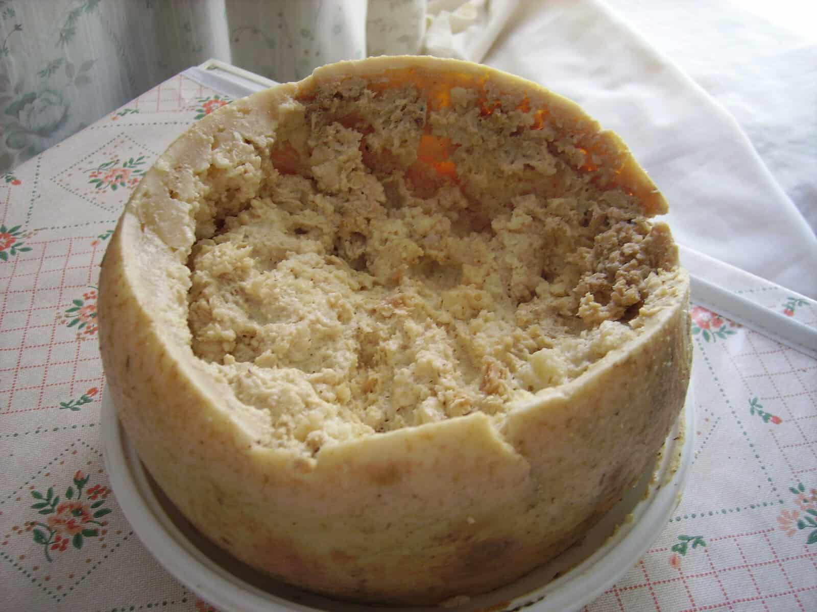 A plate of Casu Marzu.