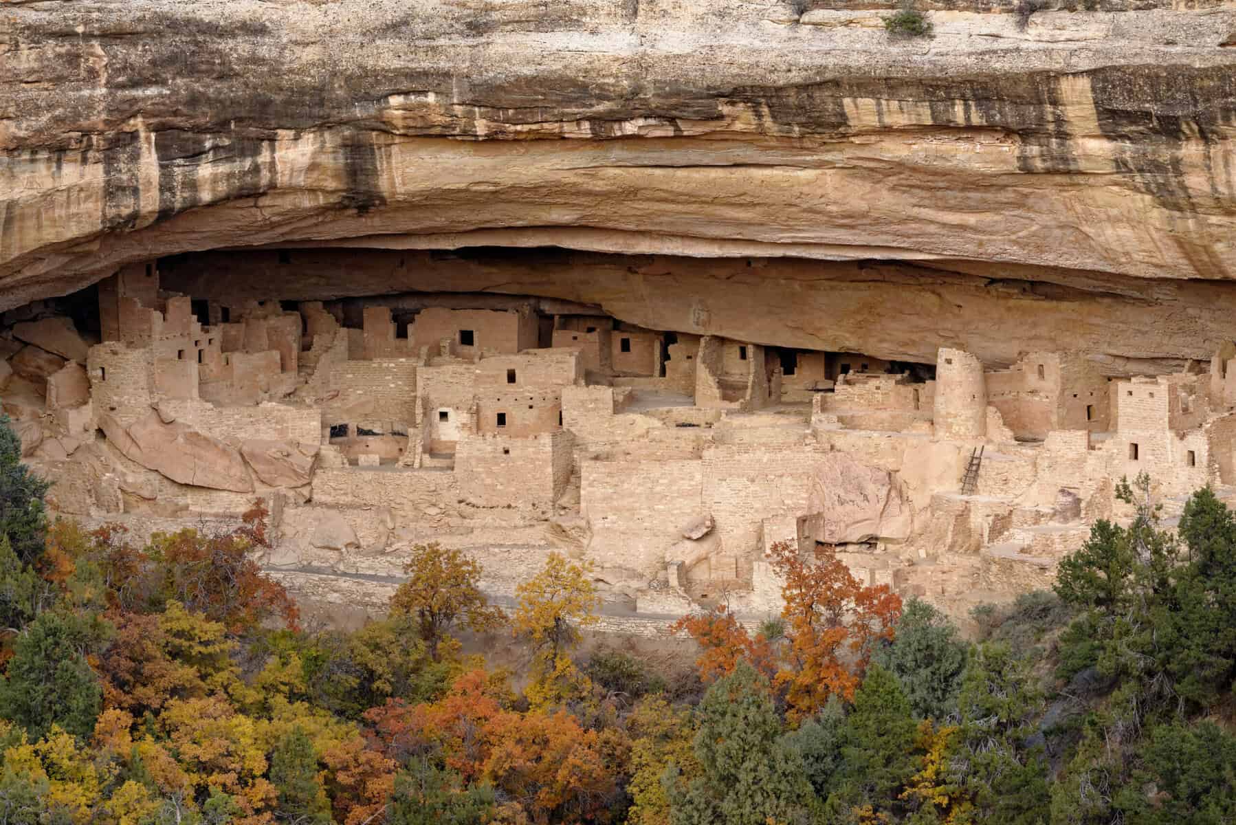 Cliff Palace Mesa VerdeP ark, Colorado.