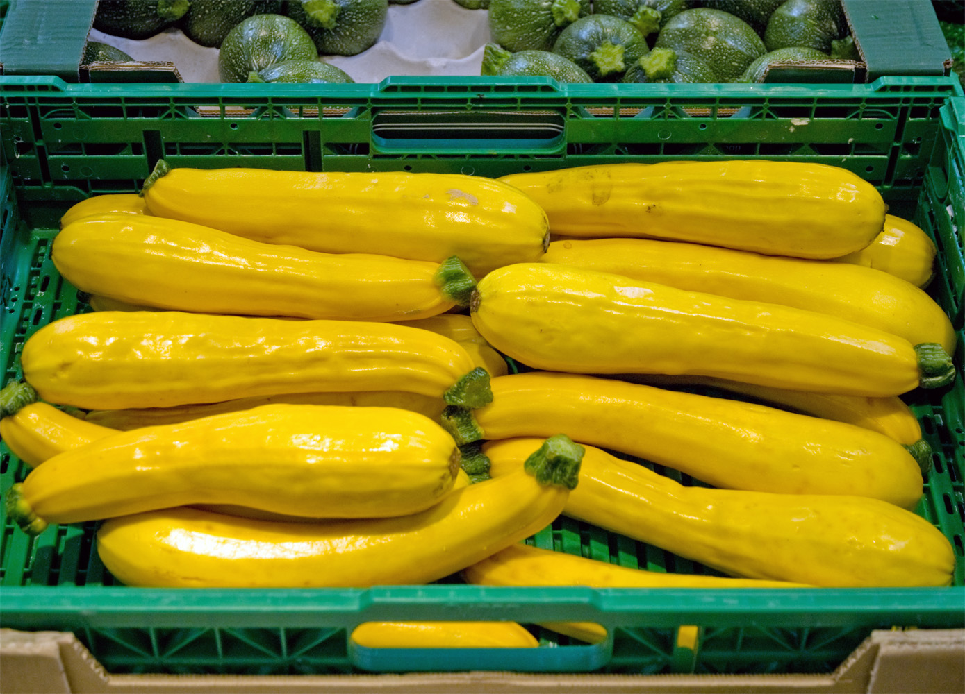 Golden zucchinis for sale.