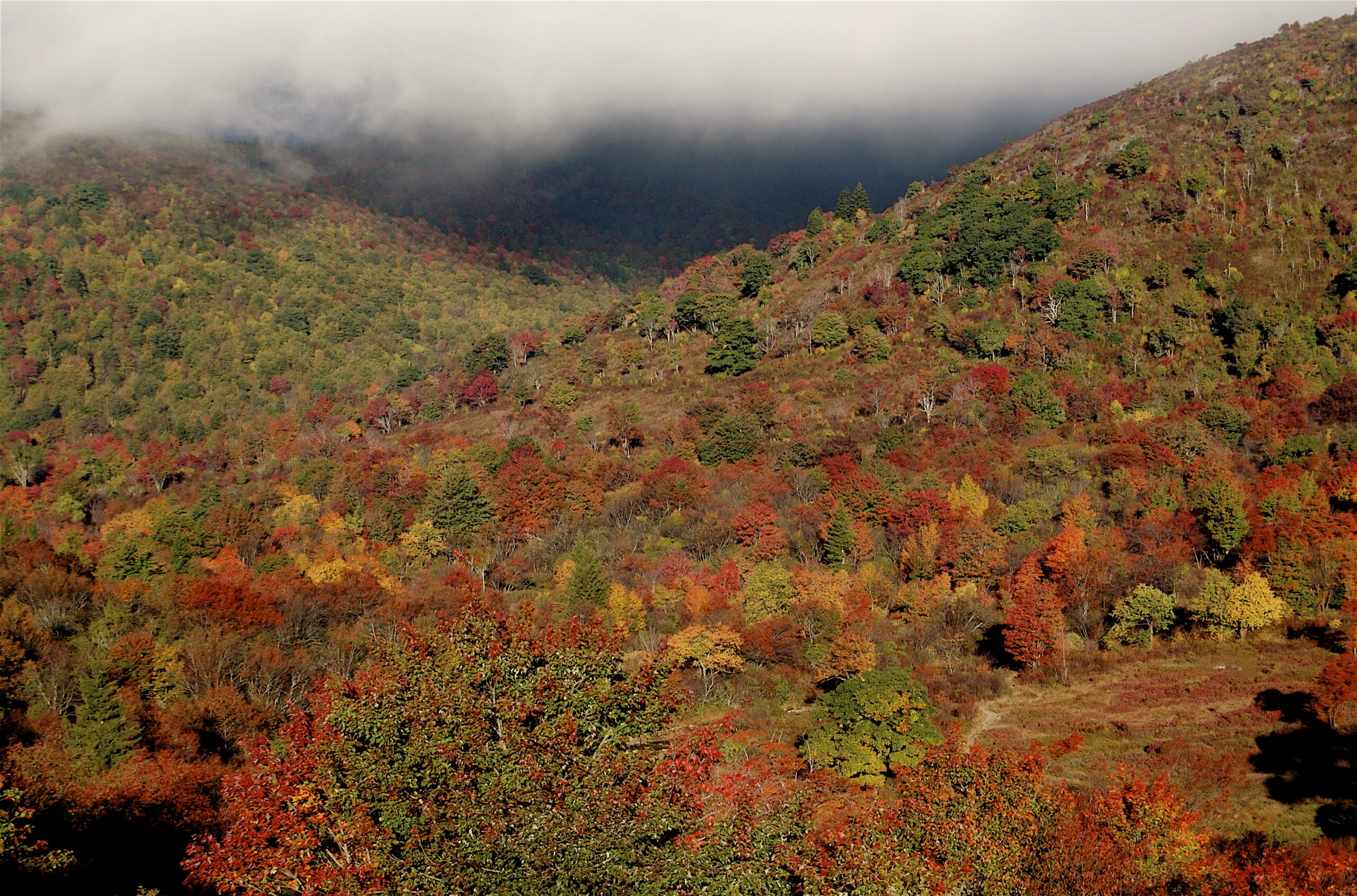 North Carolina, US