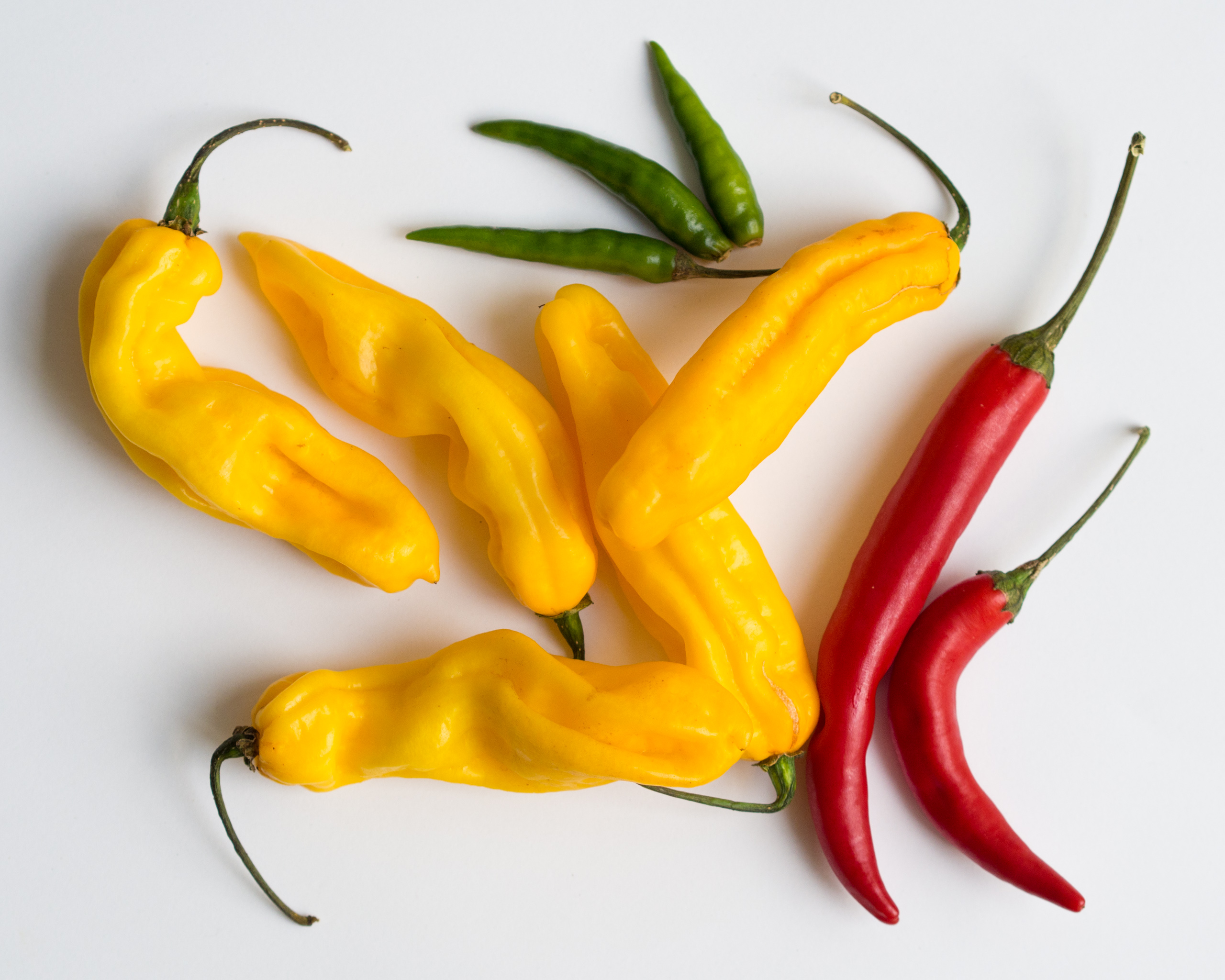 Different colored chilli peppers.