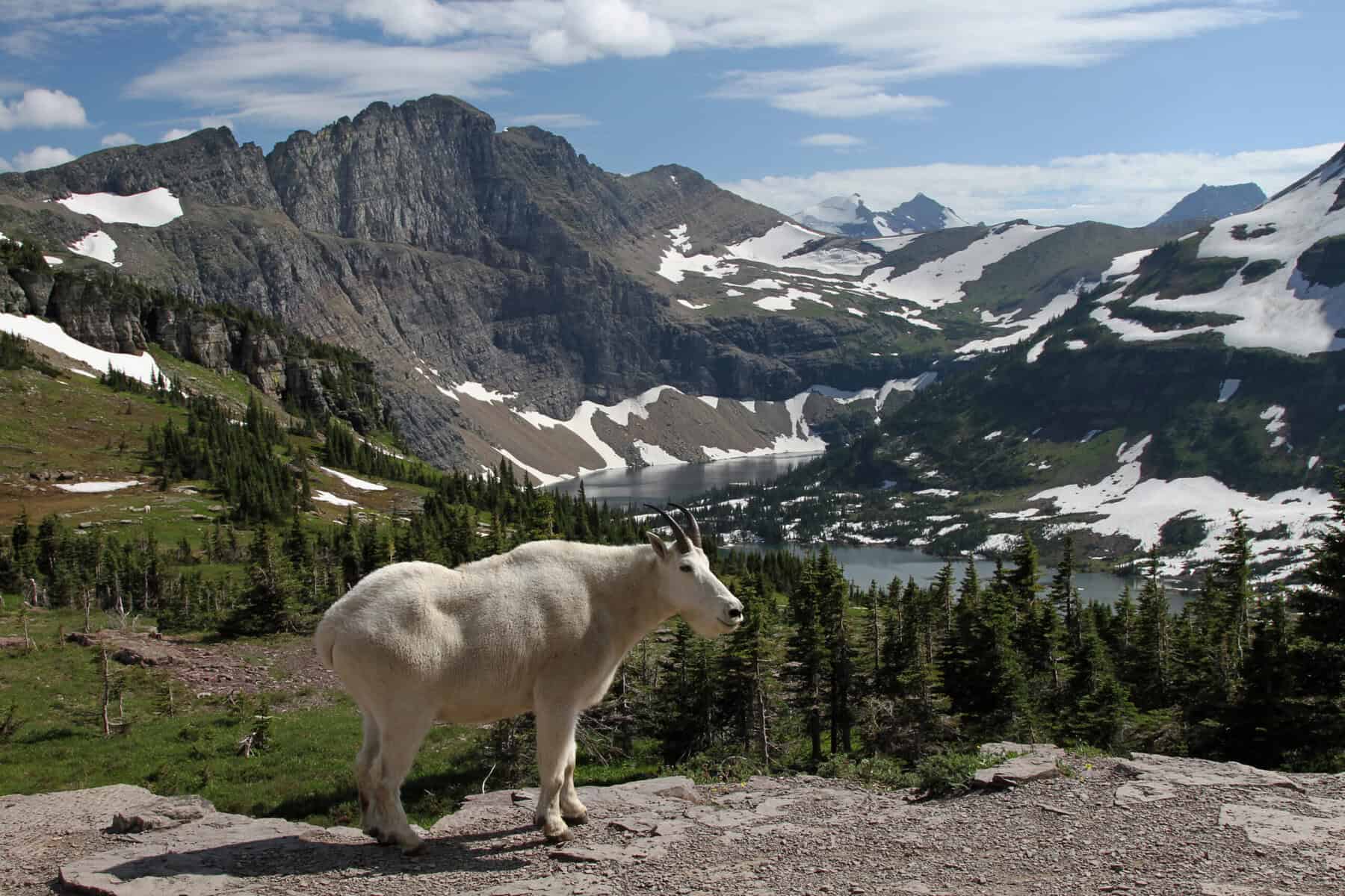 Glacier National Park, USA