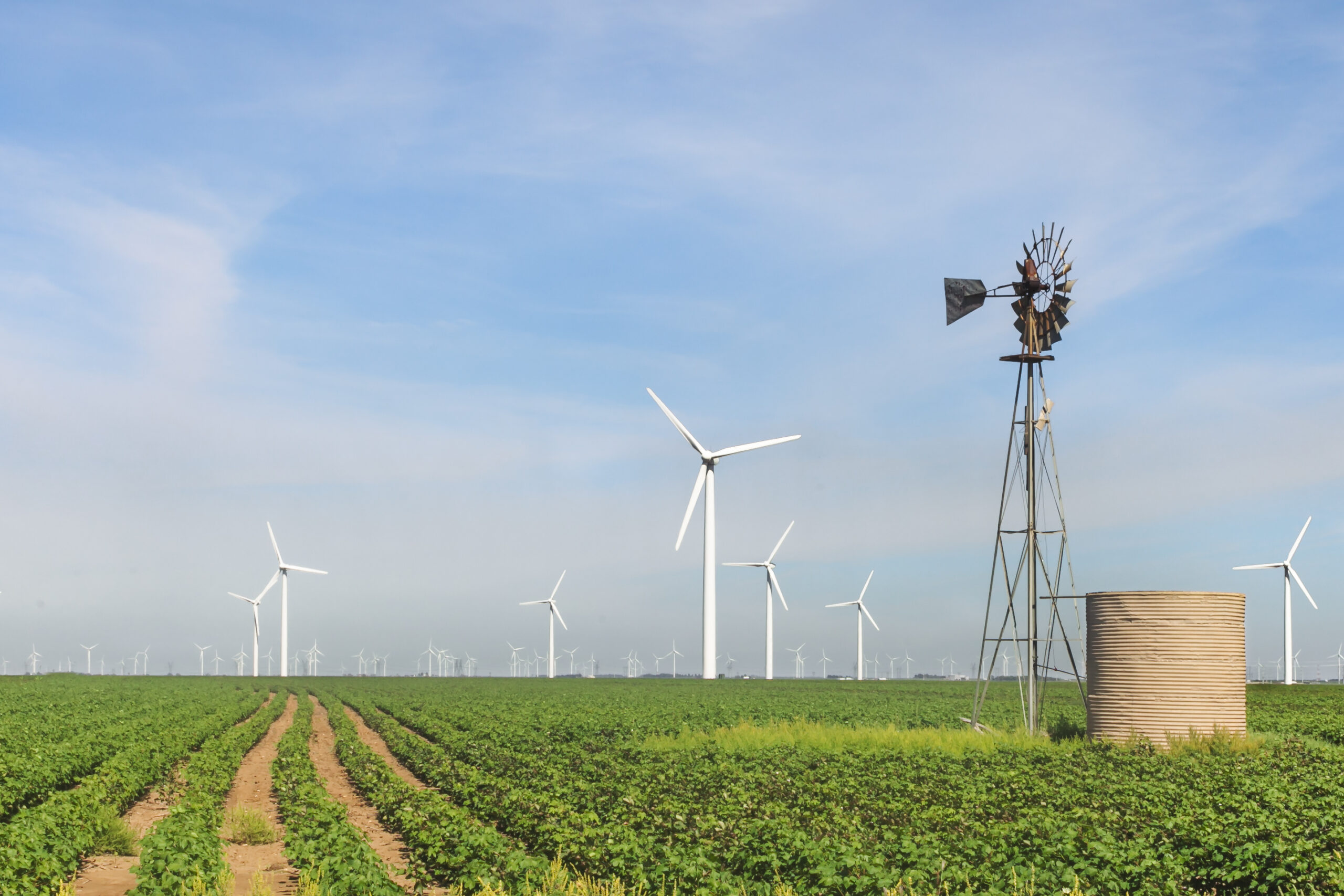 A wind farm in the U.S.