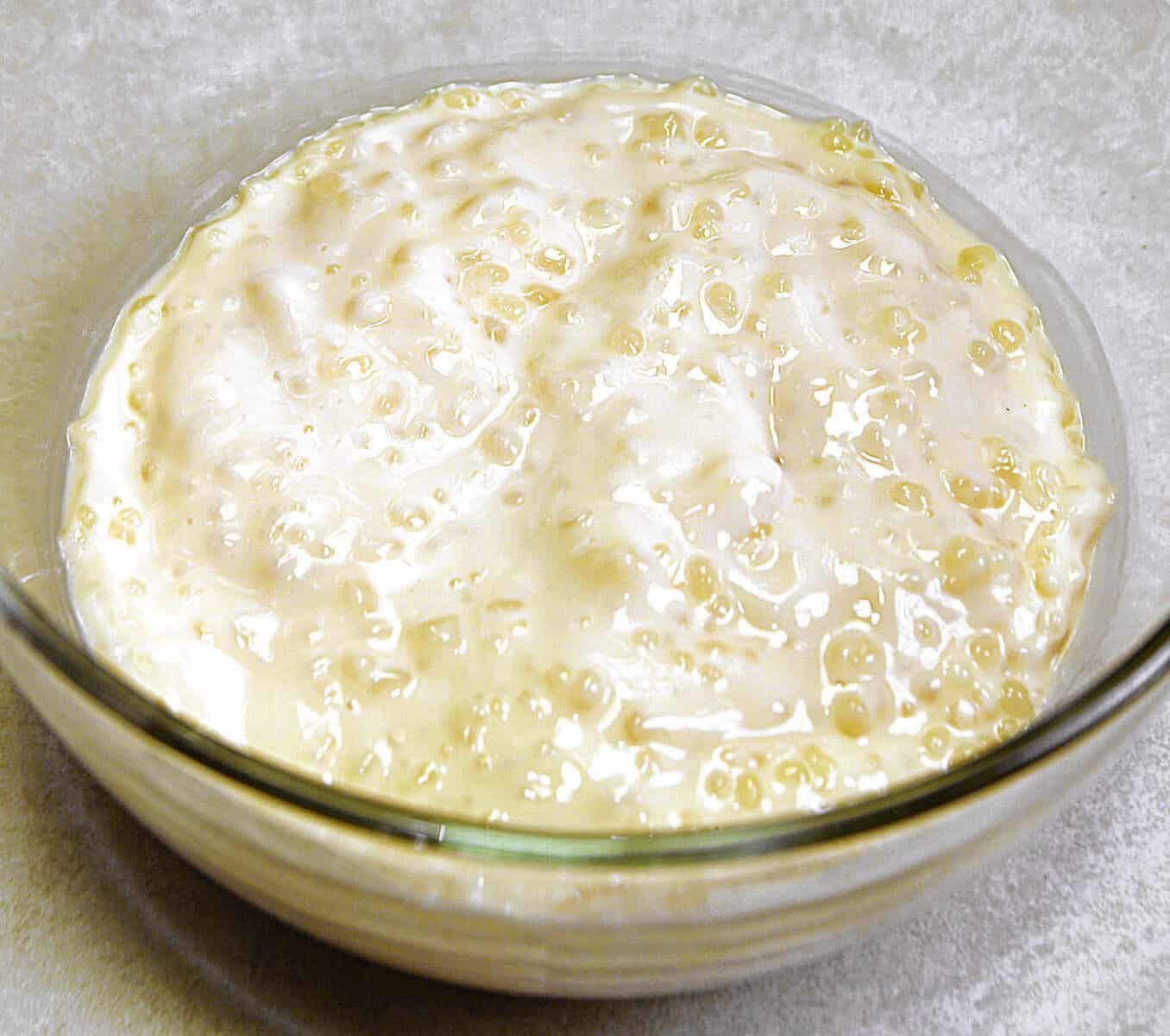 A bowl of Tapioca pudding.