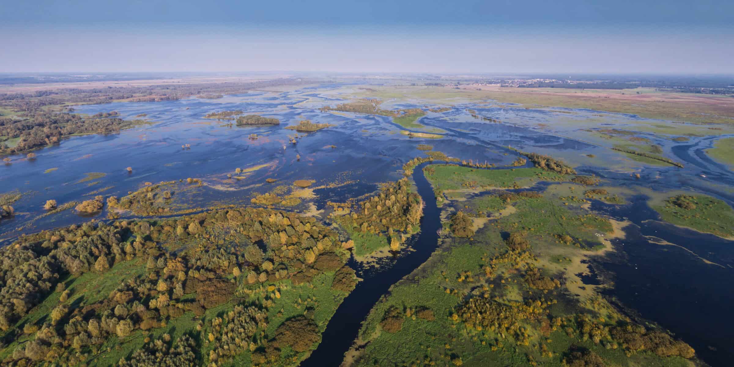 An arial view of wetlands. 