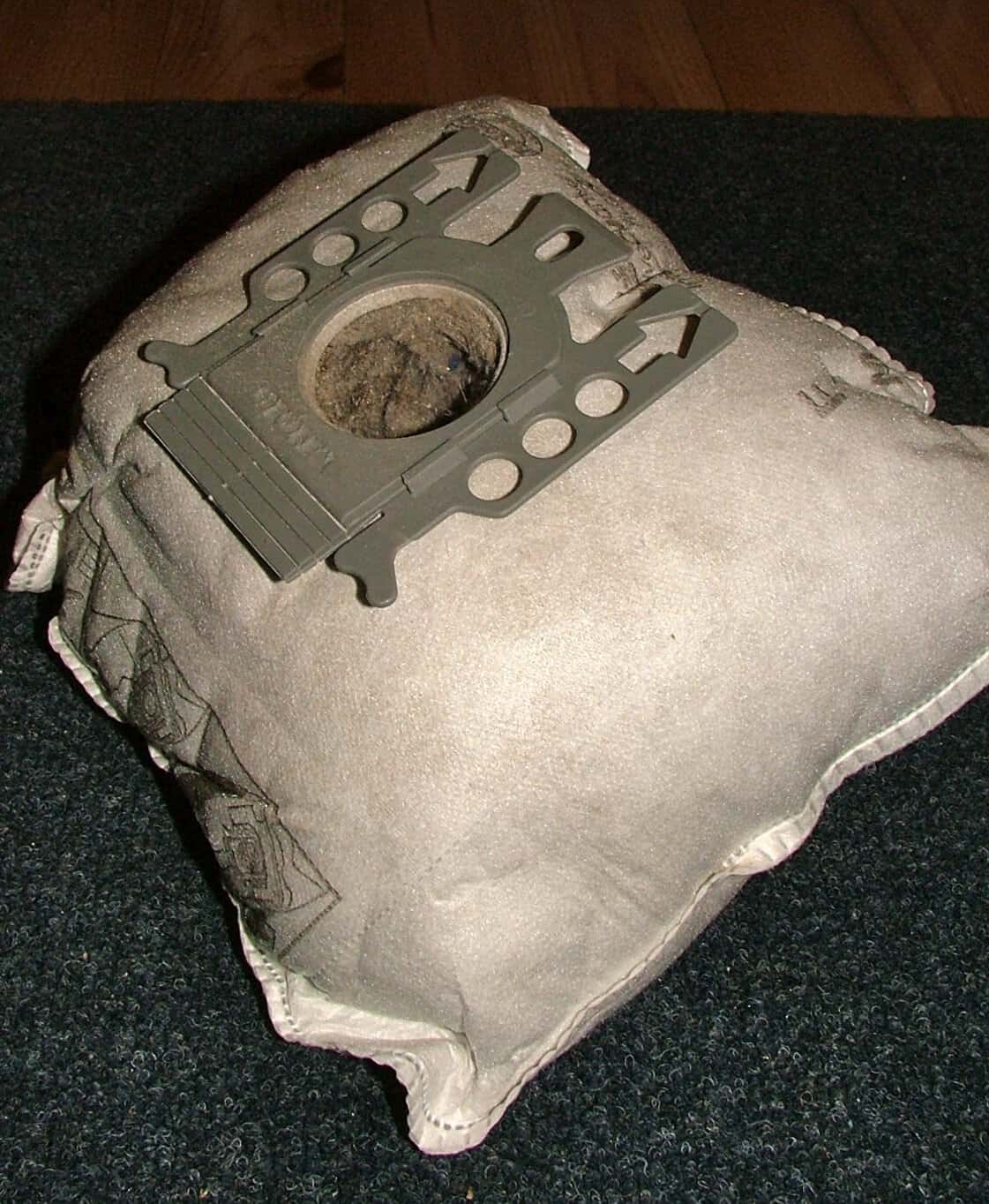 A full vacuum cleaner bag.