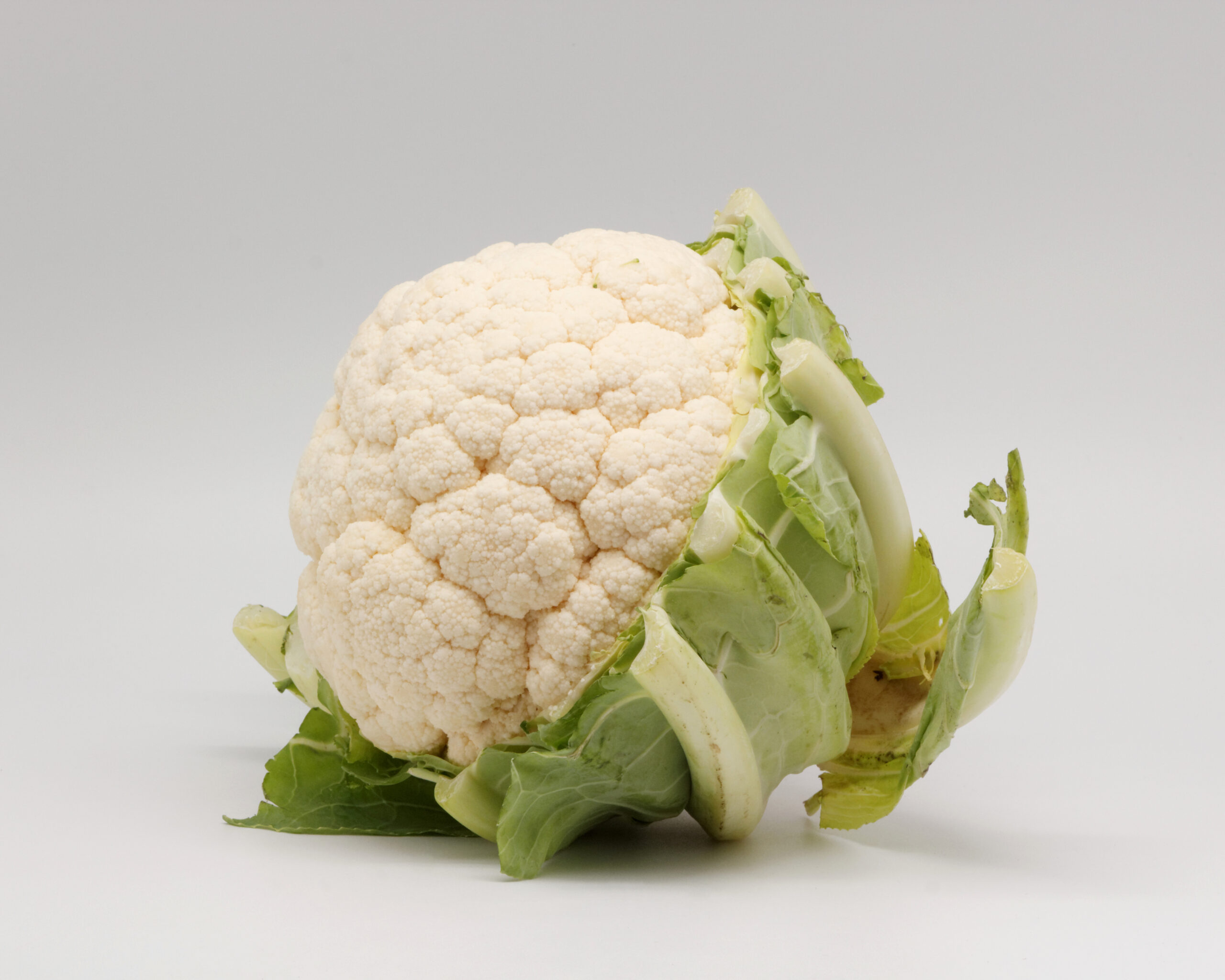 A head of cauliflower.