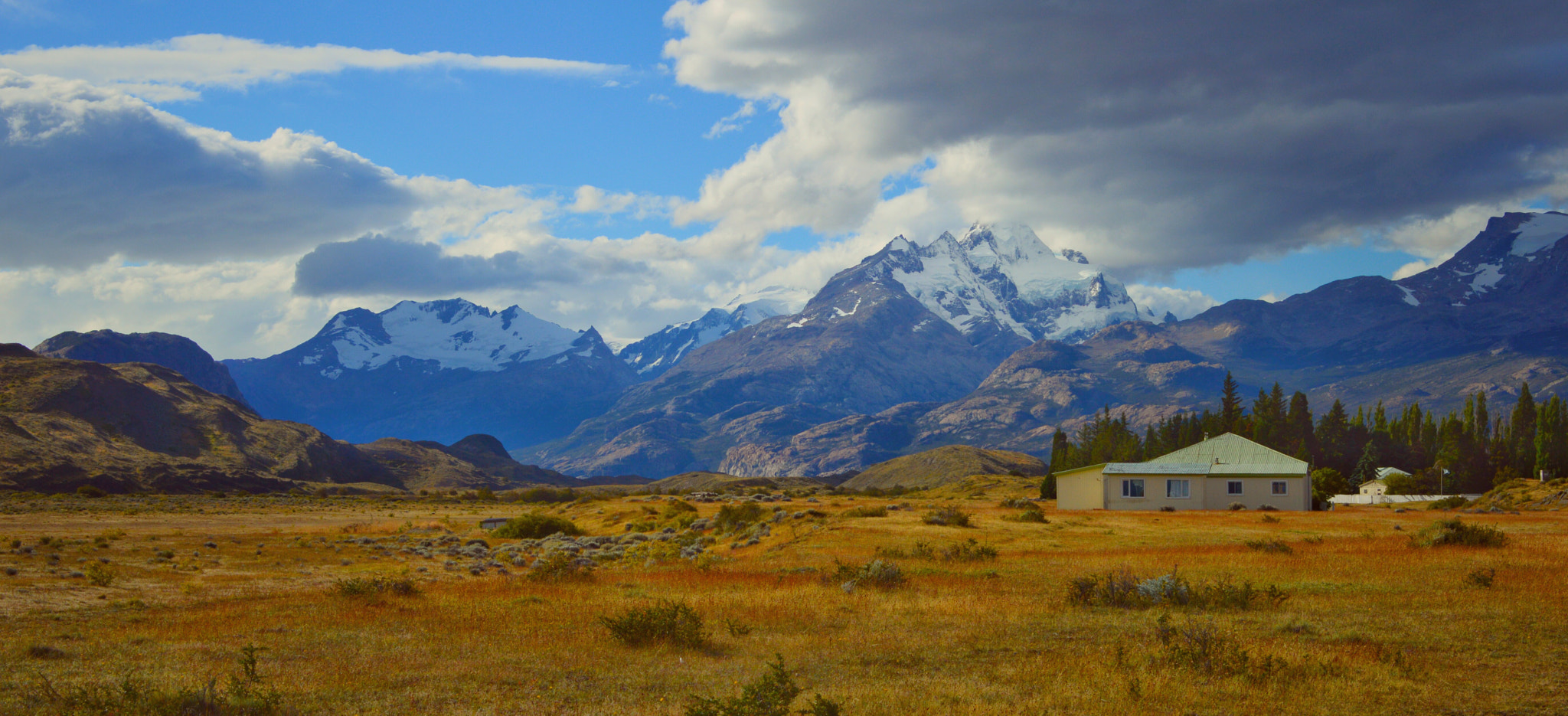 Patagonia's Steppe