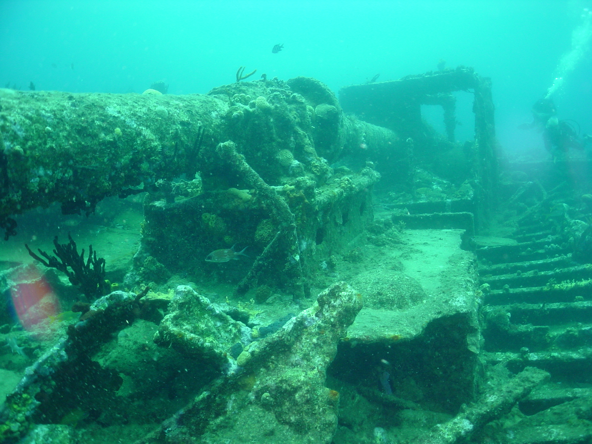 The Ill-Fated Voyage of the RMS Rhone