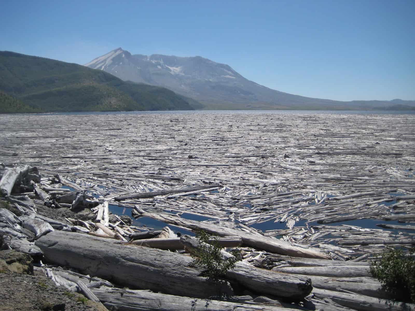 Mount St. Helens Eruption