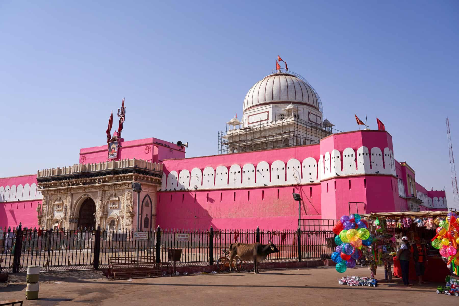 The Karni Mata Temple, India