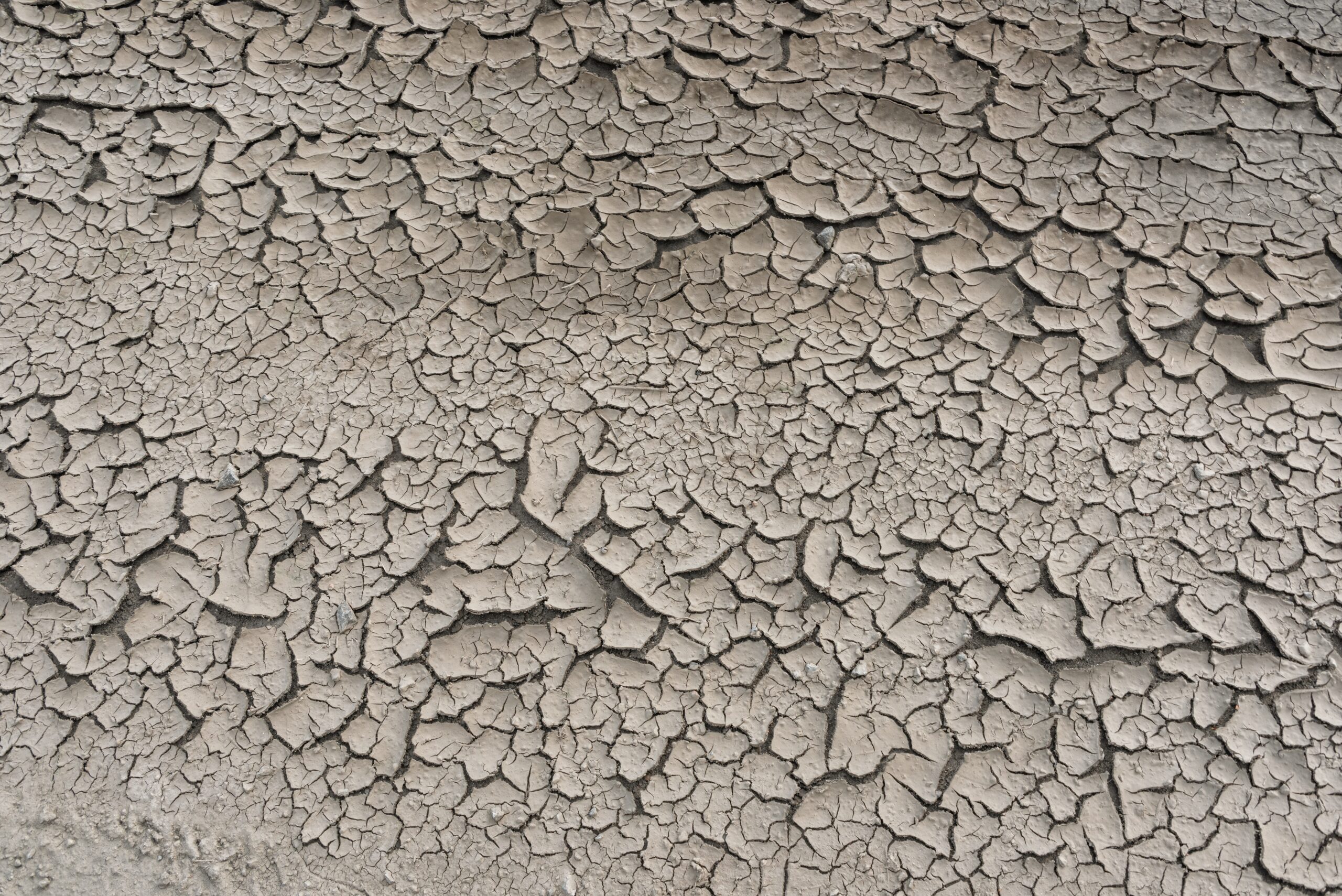 Dry ground from a dust bowl.