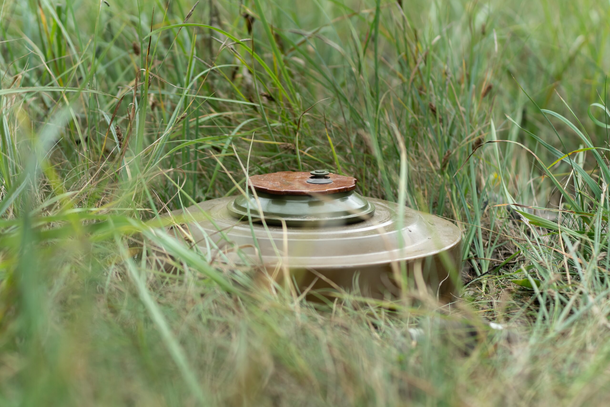A landmine hidden on the grass.
