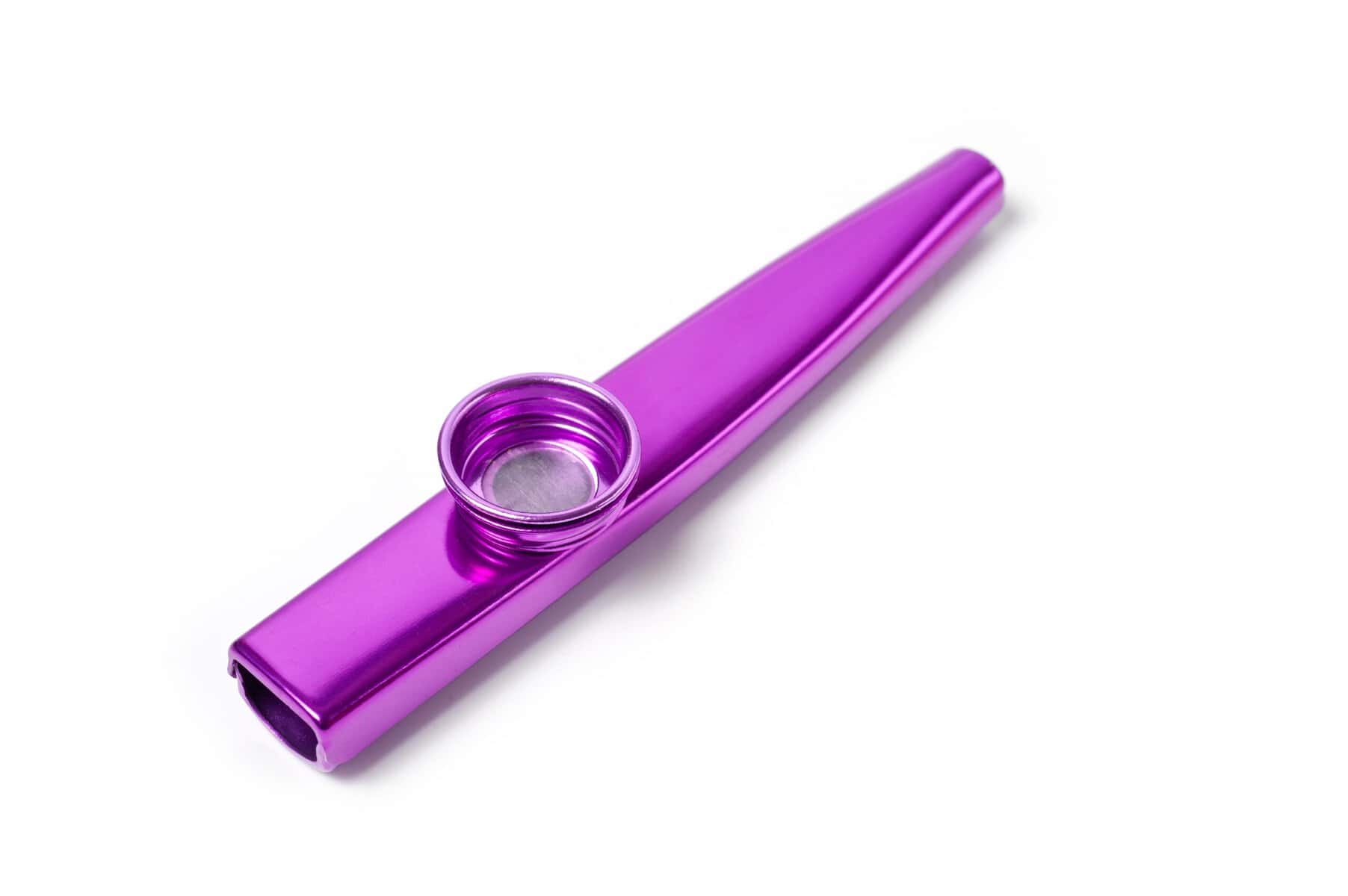 A purple kazoo.
