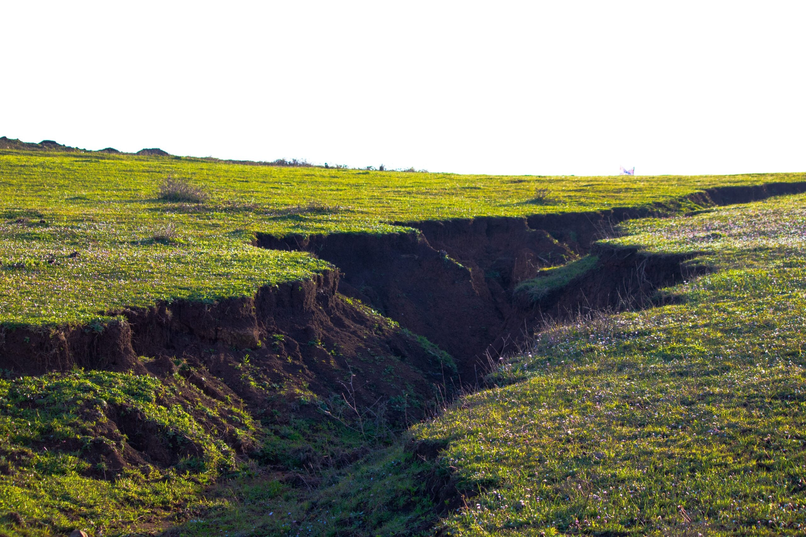 The fault lines of an earthquake.
