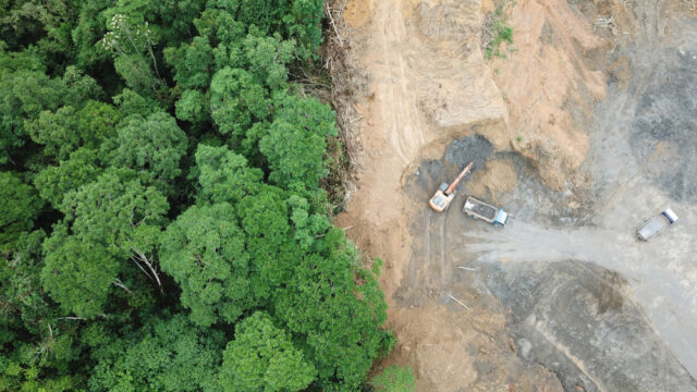 Deforestation, large earthmovers clearing trees in forest