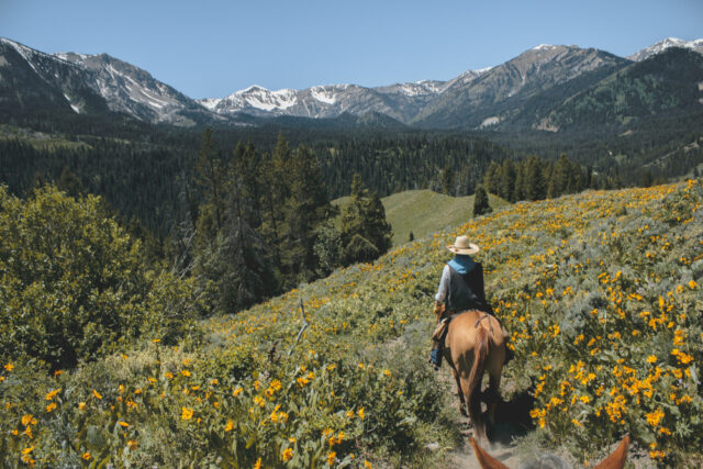 Park ranger on horseback riding trail.